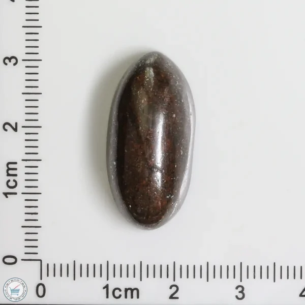 Meteorite Cabochon 5.5g 27.5ct
