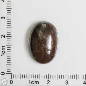 Meteorite Cabochon 4.9g 24.5ct