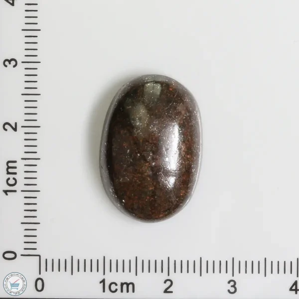 Meteorite Cabochon 4.9g 24.5ct