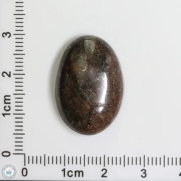 Meteorite Cabochon 4.8g 24ct