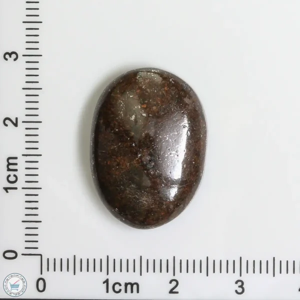 Meteorite Cabochon 4.7g 23.5ct