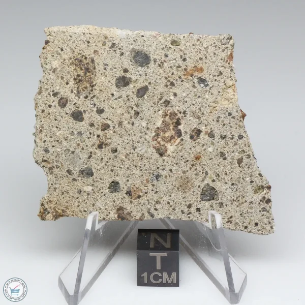 NWA 15339 Diogenite Meteorite 18.3g
