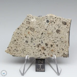 NWA 15339 Diogenite Meteorite 20.9g