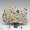 NWA 15339 Diogenite Meteorite 23.5g
