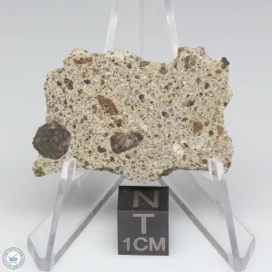 NWA 15339 Diogenite Meteorite 6.6g