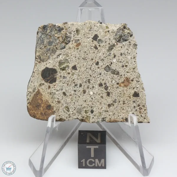 NWA 15339 Diogenite Meteorite 10.9g