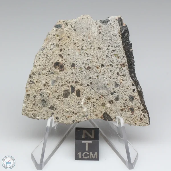 NWA 15339 Diogenite Meteorite 14.7g
