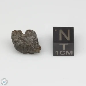 Laâyoune 002 Lunar Meteorite 1.86g Individual