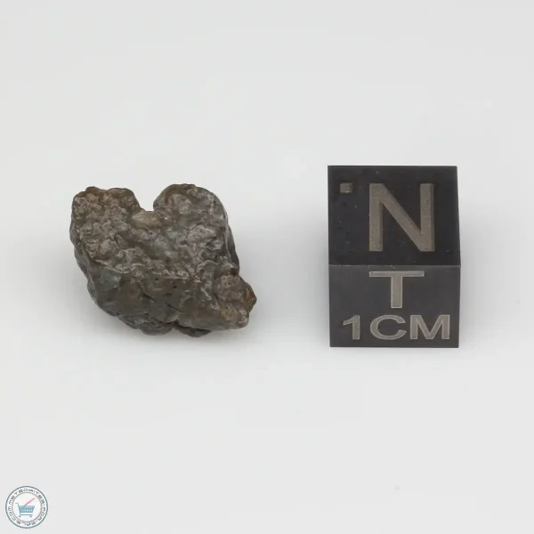 Laâyoune 002 Lunar Meteorite 1.86g Individual
