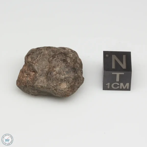 UNWA Meteorite Stone 11.3g