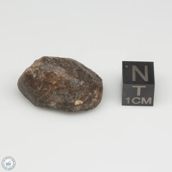 UNWA Meteorite Stone 12.8g