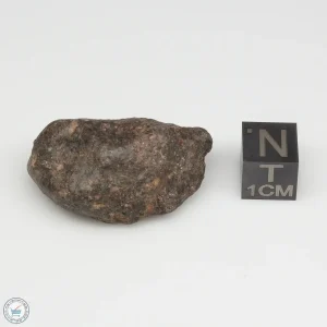 UNWA Meteorite Stone 15.5g