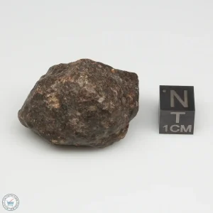 UNWA Meteorite Stone 30.4g