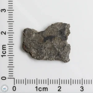 NWA 12262 Martian Meteorite 1.59g