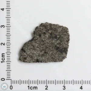 NWA 12262 Martian Meteorite 2.68g