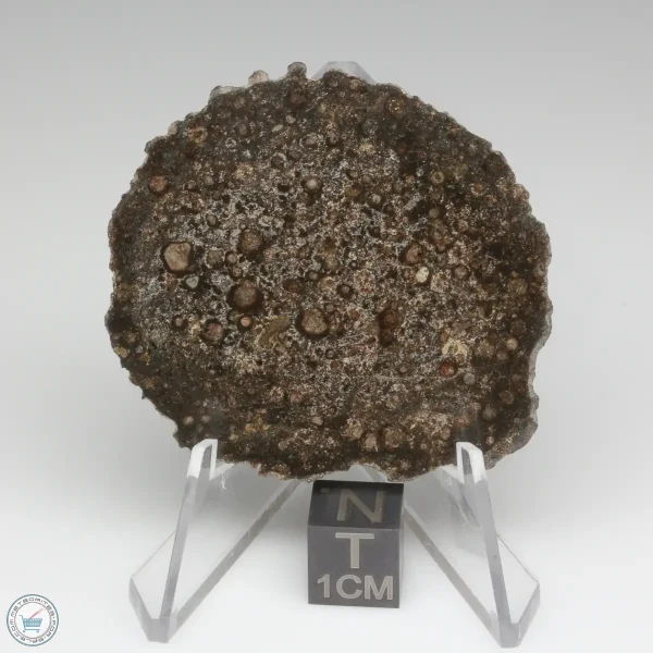 NWA 15337 Meteorite 12.1g