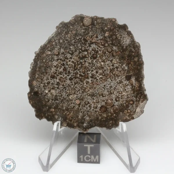 NWA 15337 Meteorite 14.7g
