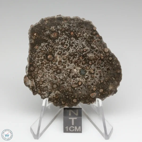 NWA 15337 Meteorite 14.4g