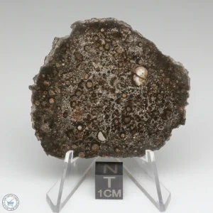 NWA 15337 Meteorite 16.0g