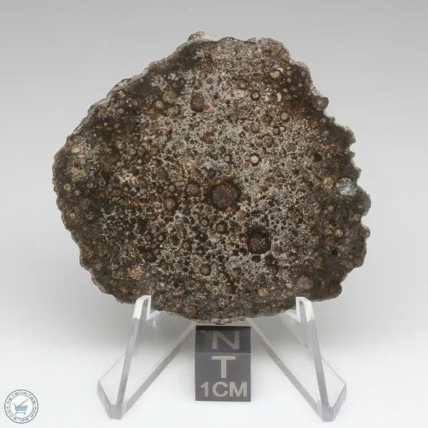 NWA 15337 Meteorite 15.0g