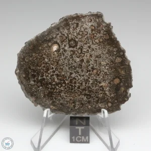 NWA 15337 Meteorite 20.6g