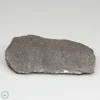 NWA 13790 Winonaite Meteorite 18.8g