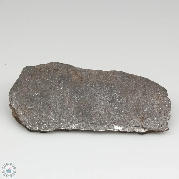 NWA 13790 Winonaite Meteorite 18.8g