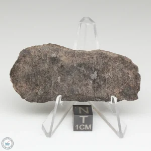 NWA 13790 Winonaite Meteorite 18.8g