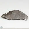 NWA 13790 Winonaite Meteorite 17.6g