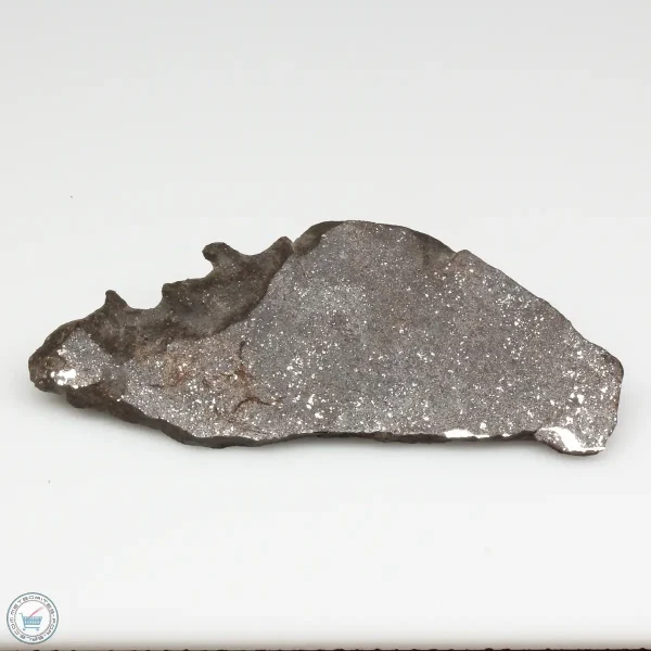 NWA 13790 Winonaite Meteorite 17.6g