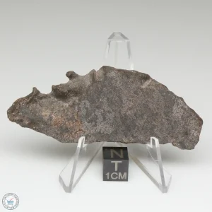 NWA 13790 Winonaite Meteorite 17.6g