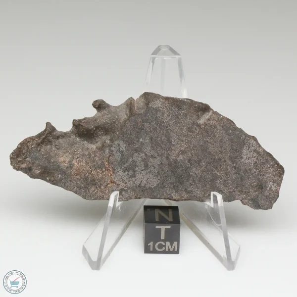 NWA 13790 Winonaite Meteorite 17.6g