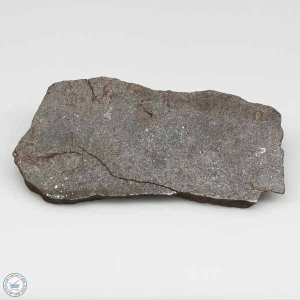 NWA 13790 Winonaite Meteorite 18.1g