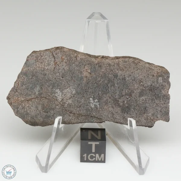NWA 13790 Winonaite Meteorite 18.1g