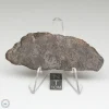 NWA 13790 Winonaite Meteorite 21.6g