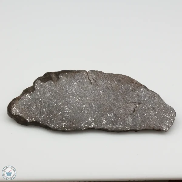 NWA 13790 Winonaite Meteorite 21.6g