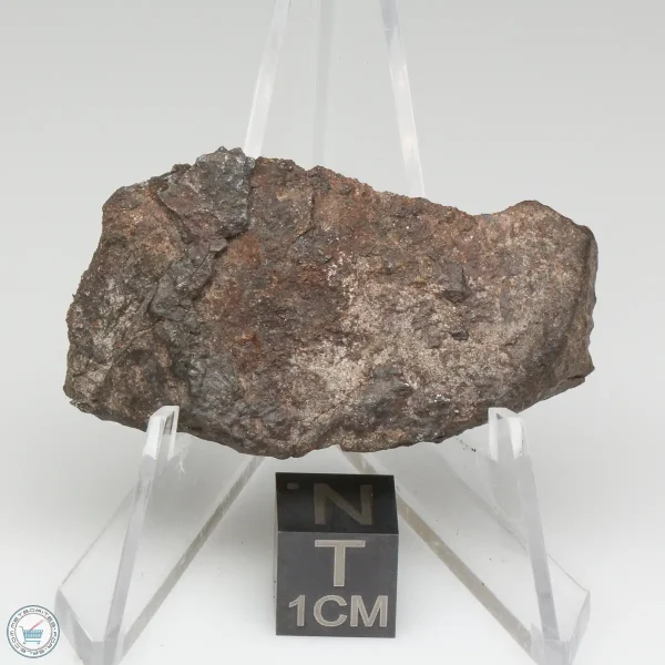 NWA 13790 Winonaite Meteorite 14.3g End Cut