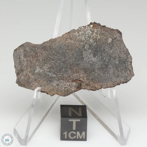 NWA 13790 Winonaite Meteorite 14.3g End Cut