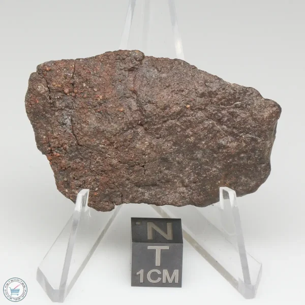 NWA 13790 Winonaite Meteorite 19.4g End Cut