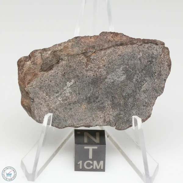 NWA 13790 Winonaite Meteorite 19.4g End Cut