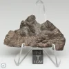 NWA 13790 Winonaite Meteorite 14.8g End Cut