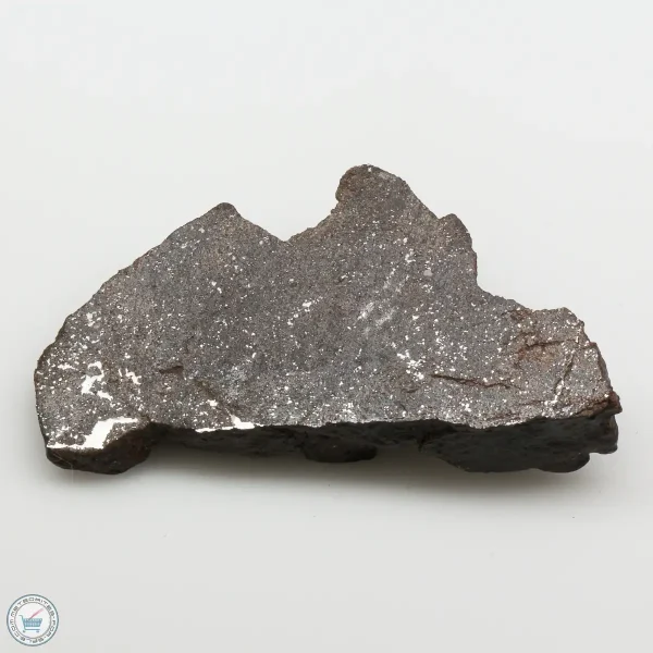 NWA 13790 Winonaite Meteorite 14.8g End Cut