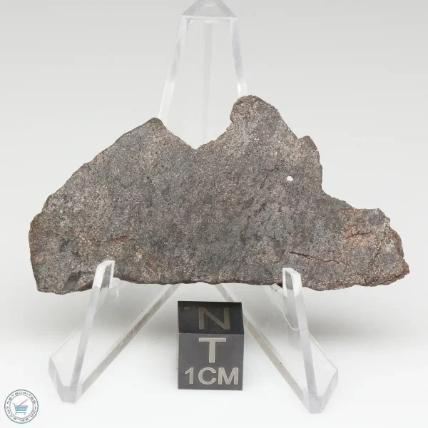 NWA 13790 Winonaite Meteorite 14.8g End Cut