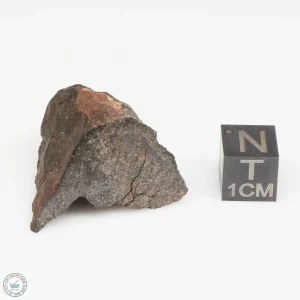 NWA 13790 Winonaite Meteorite 12.6g End Cut