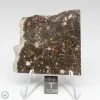 NWA 15662 LL3 Meteorite 18.5g