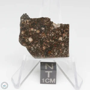 NWA 15662 LL3 Meteorite 6.0g