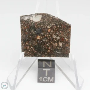 NWA 15662 LL3 Meteorite 6.4g