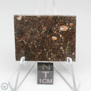 NWA 15662 LL3 Meteorite 10.1g