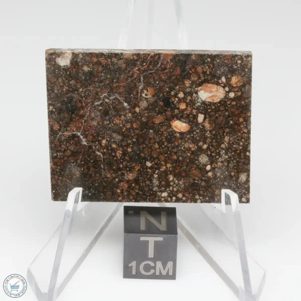 NWA 15662 LL3 Meteorite 10.1g