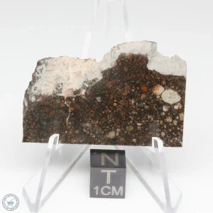 NWA 15662 LL3 Meteorite 9.5g